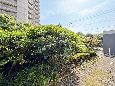 陽当たり・通風・開放感に恵まれた環境です。※CG加工により晴天にしています。