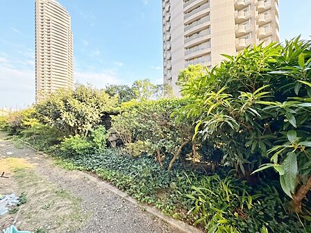 眺望や窓からの景色が良いと、家で過ごす時間も快適です。※CG加工により晴天にしています。