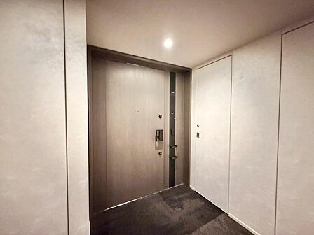 清潔感のある落ち着いた雰囲気の玄関です。