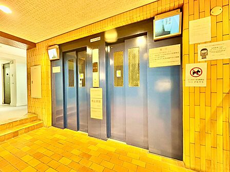 エレベーター完備のため荷物が多くなっても安心。
