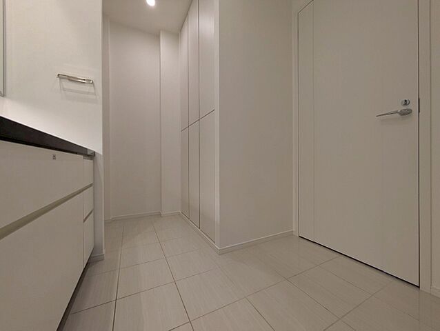 洗面 パークタワー東雲 43階/-