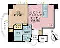 タイガー小石川ハイツ9階4,999万円