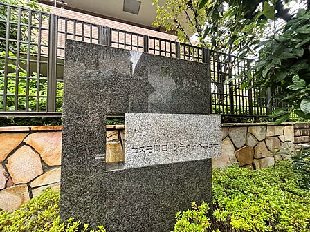 清潔感のある落ち着いた雰囲気の玄関です。