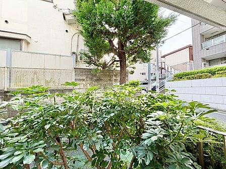 陽当たり・通風・開放感に恵まれた環境です。
