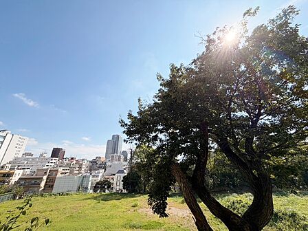 陽当たり・通風・開放感に恵まれた環境です。