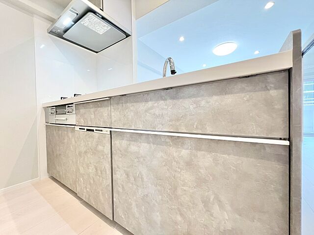 キッチン 市川パークハウス　Ａ棟 7階/-