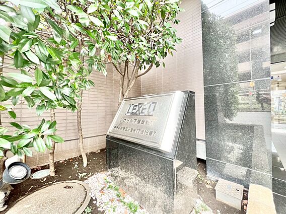 清潔感のある落...