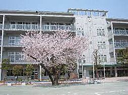 世田谷区立船橋小学校（868m）