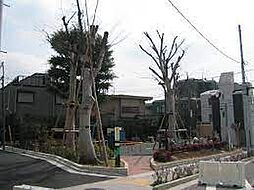経堂けやき公園（475m）