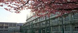 渋谷区立原宿外苑中学校（1578m）