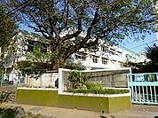 世田谷区立笹原小学校（824m）