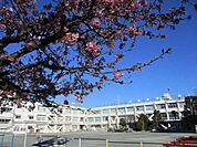 世田谷区立等々力小学校（514m）