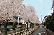 呑川駒沢支流緑道（384m）