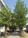 世田谷区立尾山台中学校（513m）