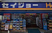 くすりセイジョー 大岡山店（469m）