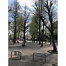 田向公園（100m）