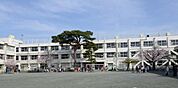 世田谷区立玉川小学校（1083m）