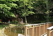 上野毛自然公園（414m）