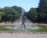 世田谷公園（355m）