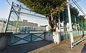 世田谷区立用賀小学校（639m）