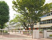 世田谷区立三宿中学校（581m）