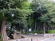 すずめのお宿緑地公園（284m）