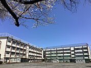 目黒区立目黒南中学校（164m）
