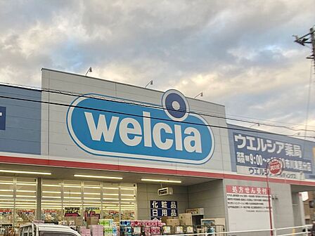 ウエルシア薬局市川東国分店/徒歩約13分/約1000m