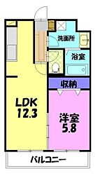 フォレストステージエフ 1LDKの間取図画像