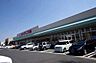 周辺：スーパー「ヨークベニマル石井店まで893m」