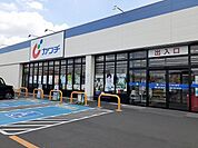 ドラッグストア 「カワチ岩曽店まで800m」