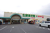 スーパー「たいらや泉が丘店まで769m」