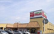 スーパー「フードマーケットオータニ野沢店まで997m」