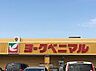 周辺：スーパー「ヨークベニマル宇都宮テラス店まで538m」