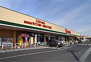 スーパー「とりせん高根沢店まで491m」