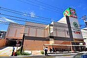 株式会社ライフコーポレーション西小岩店（76m）