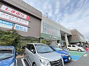 コープ　葛飾白鳥店（694m）