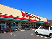 コモディイイダ 西瑞江店（674m）