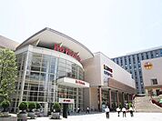 イトーヨーカドー 木場店（768m）