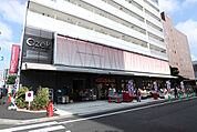 オオゼキ 門仲牡丹店（470m）