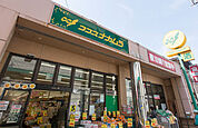ココスナカムラ町屋店（564m）