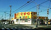 どらっぐ ぱぱす 島根店（330m）