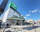 サミットストア　五反野店（446m）