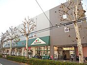 マルエツ 田端店（995m）