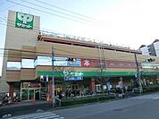 サミット（315m）
