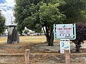 清水公園 510m