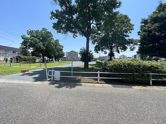 八斗島公園 1...