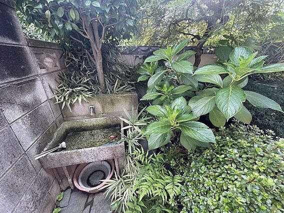 お庭の片隅には...