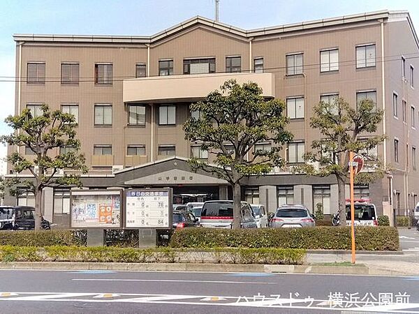 周辺を拡大表示