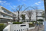 横浜市立北方小学校山手・元町エリアに近く、落ち着いた住宅環境の中で学べる地域に親しまれる小学校。 1210m